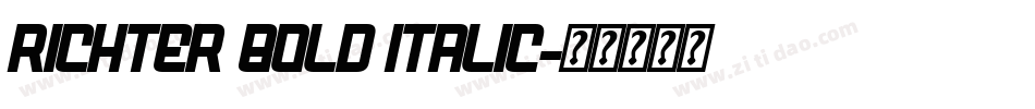 Richter Bold Italic字体转换